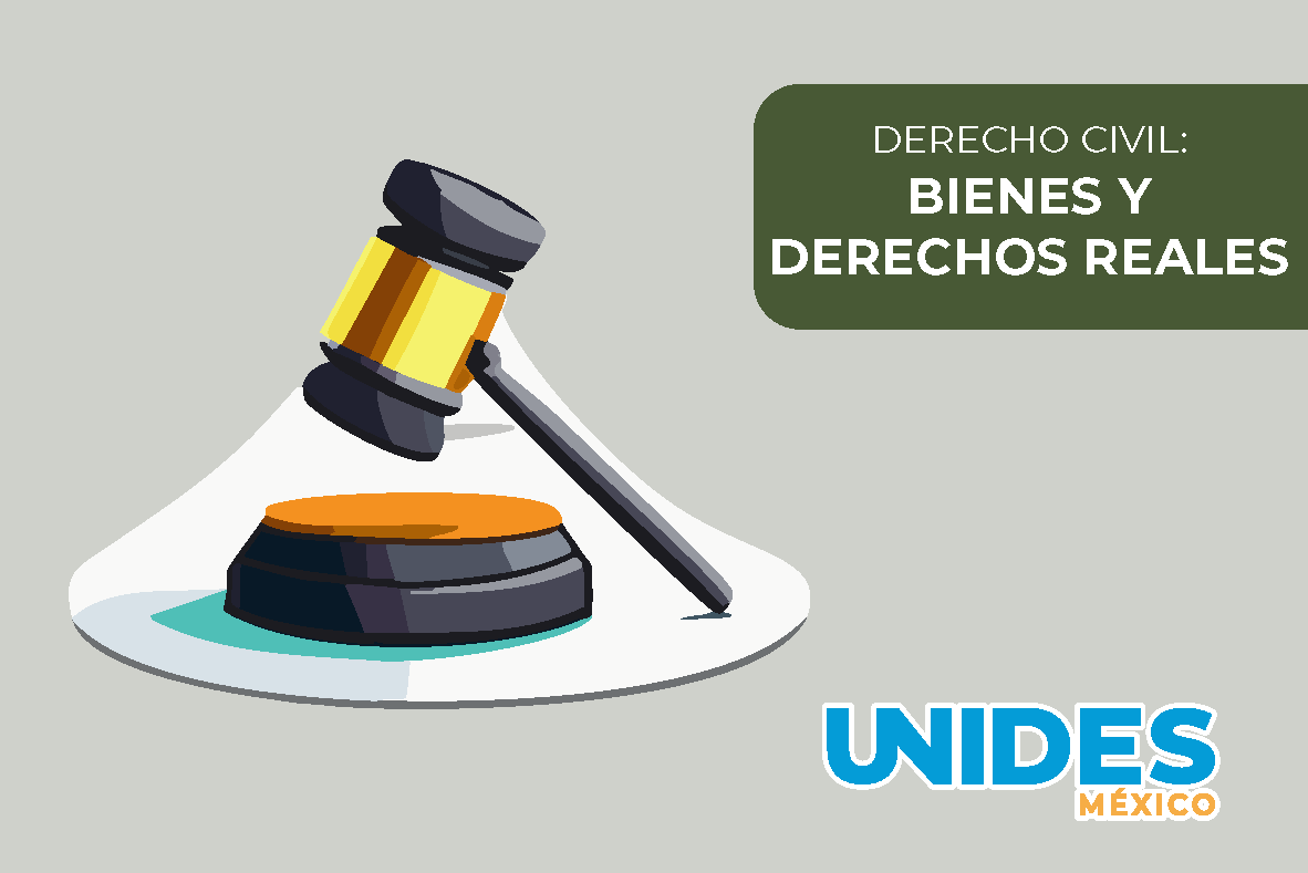 Derecho Civil: Bienes y Derechos Reales