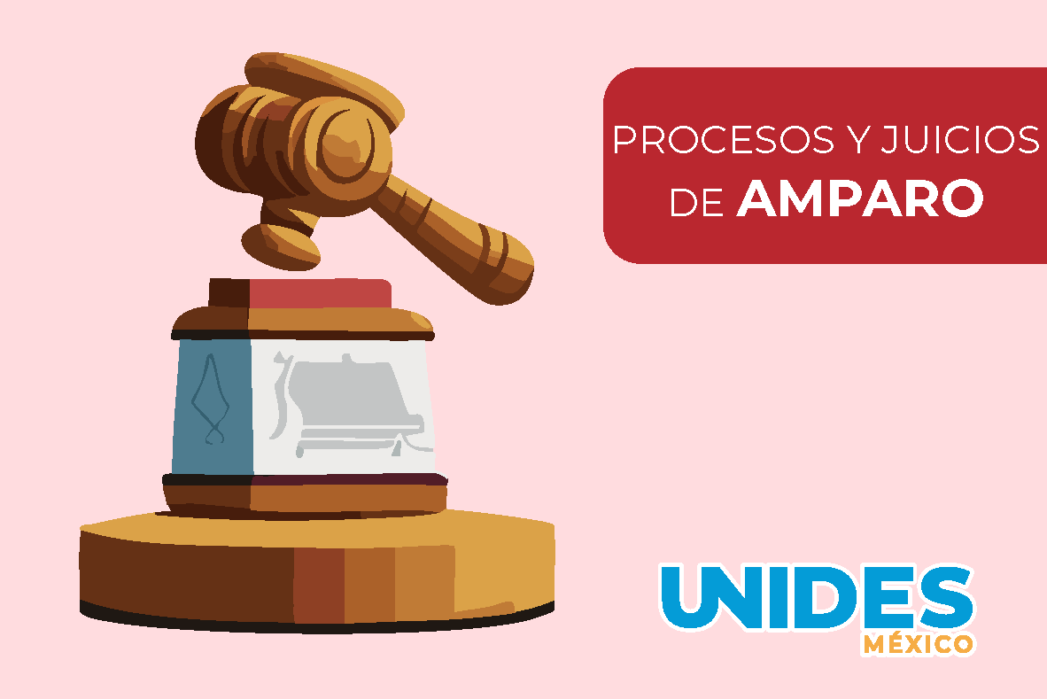 Procesos y Juicios de Amparo