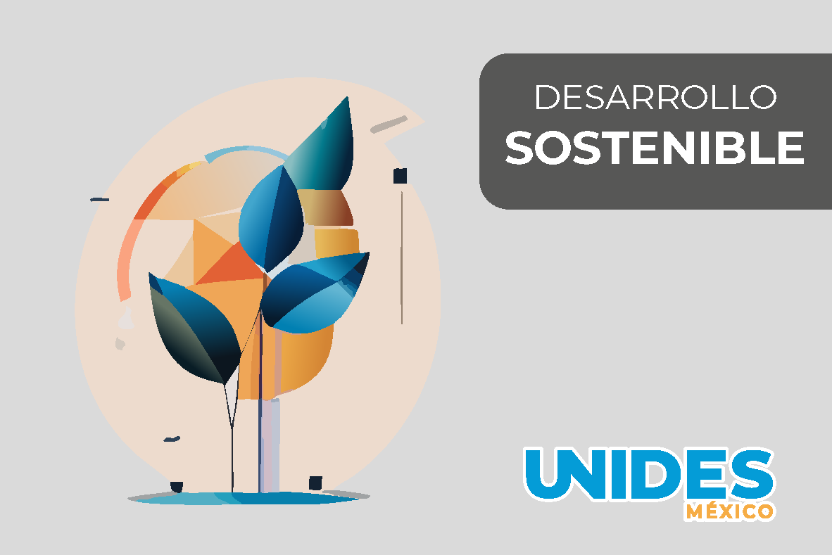 Desarrollo Sostenible 