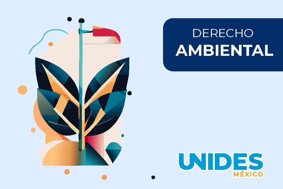 Derecho Ambiental 