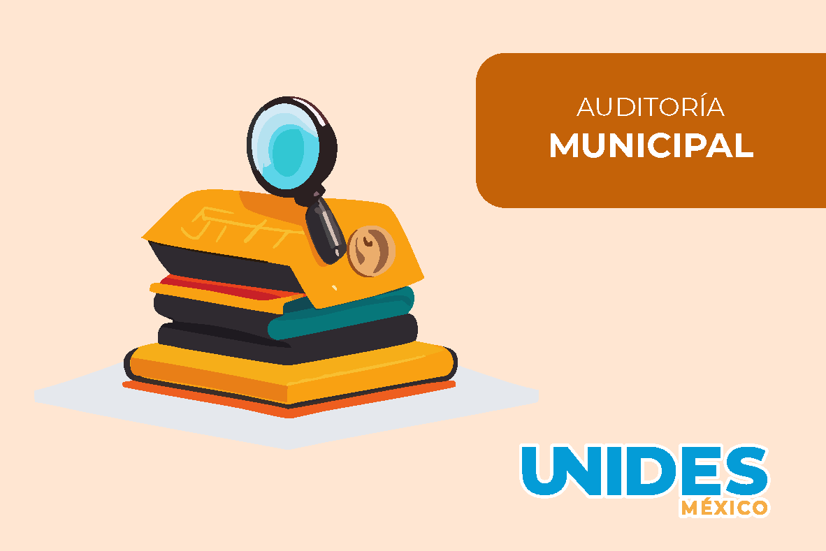 Optativa: Auditoría Municipal 