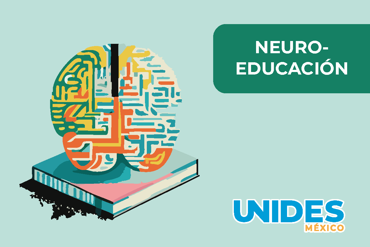 Neuroeducación