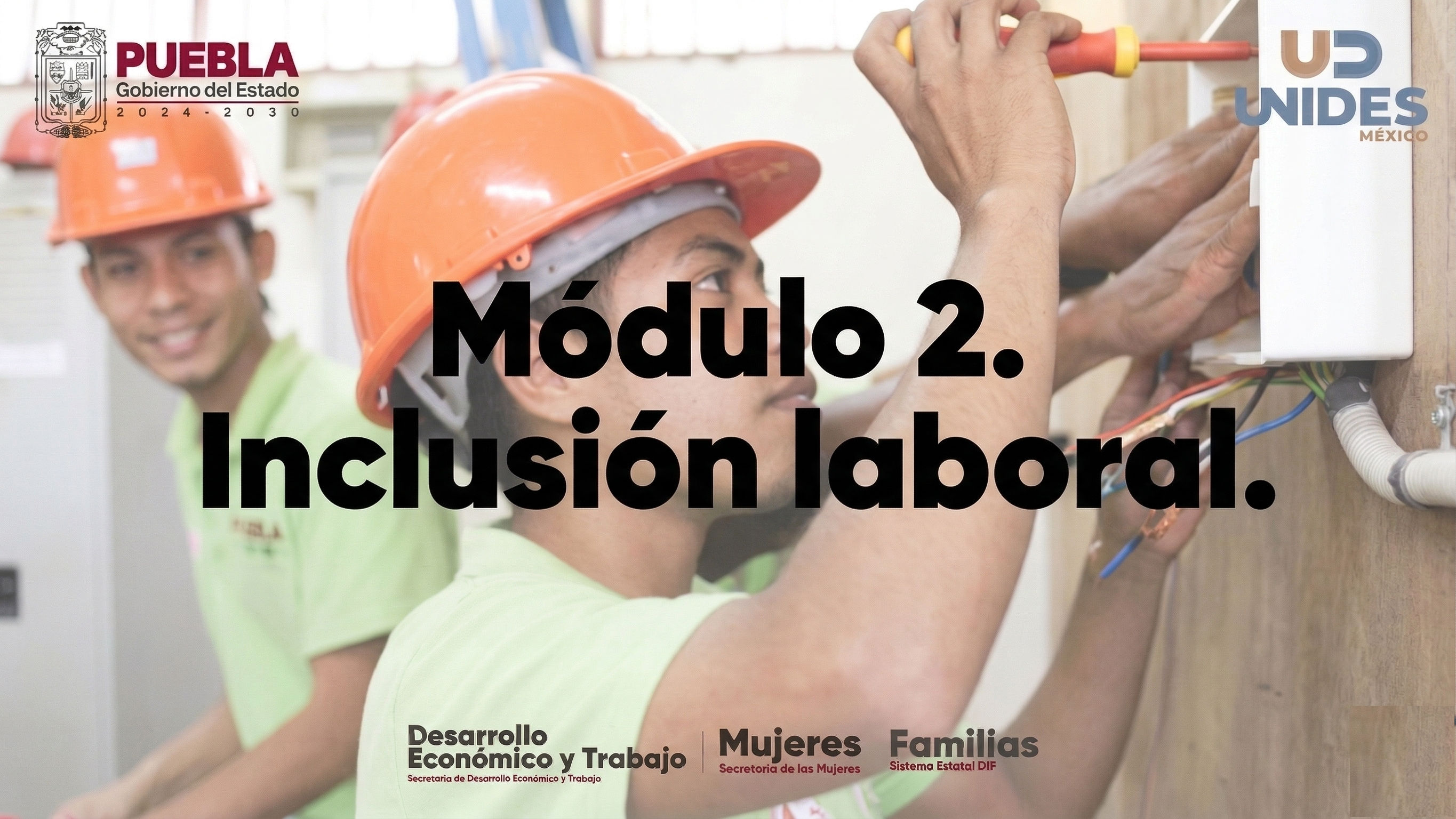 Módulo 2. Inclusión laboral